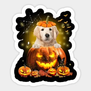 Golden Retriever Spooky Halloween Pumpkin Dog Head Sticker